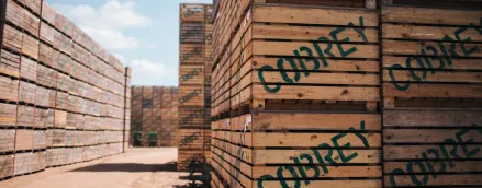 Wooden Pallettes